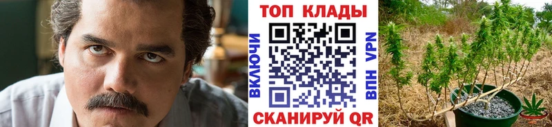 Все наркотики Минеральные Воды Бошки Шишки  COCAIN  ГАШ  Меф 