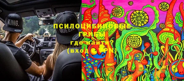молекула духа Бугульма