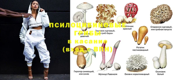 а пвп мука Бородино