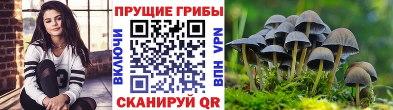 Галлюциногенные грибы прущие грибы  наркота  ОМГ ОМГ маркетплейс  Минеральные Воды 